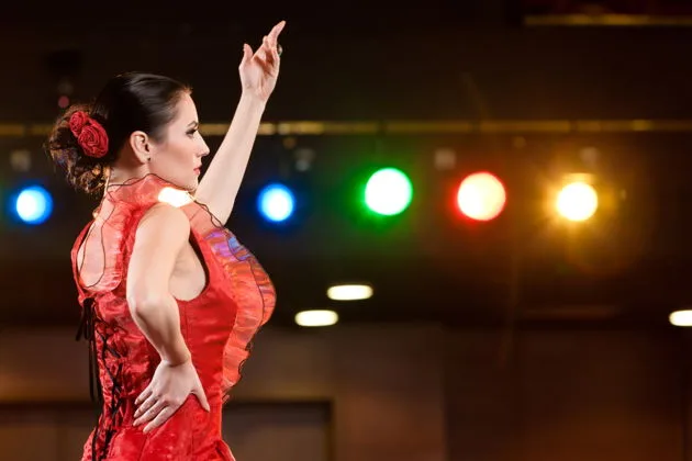 Входные билеты на шоу Puro Flamenco и в Музей танца