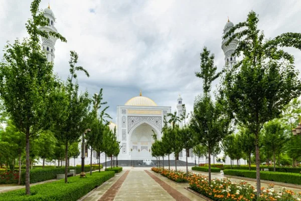 Путешествие в город Грозный