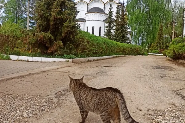 Старинный город и его духовная жемчужина