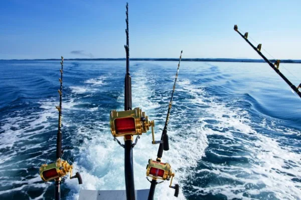 Рыбалка и морская прогулка в Красном море
