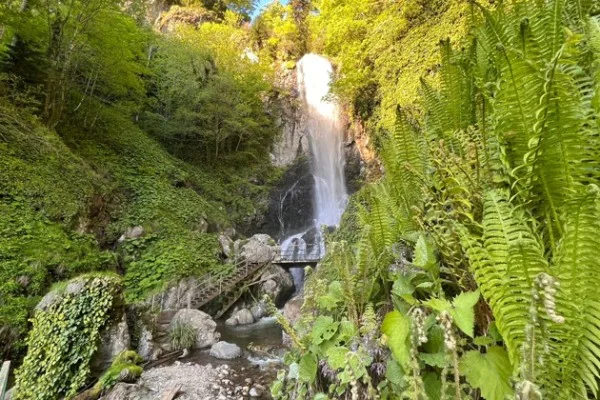 ⛰ Водопады Горной Аджарии. Самая объёмная Экскурия