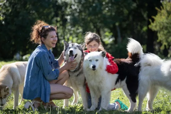 В гости к хаски, якутским лайкам и камерунским козам