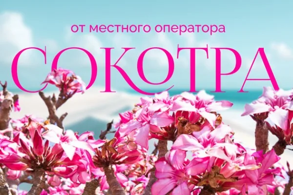 Сокотра-Увидеть бесконечность 10 дней треккинг