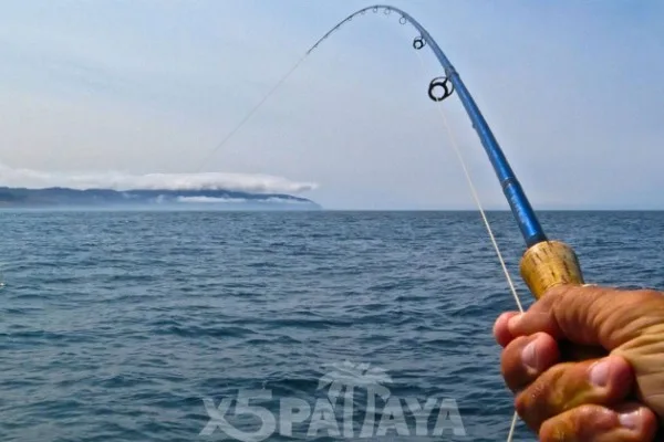 Морская Рыбалка в Паттайе