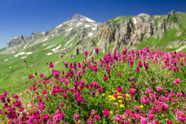 Плато Лаго-Наки и горные панорамы Адыгеи