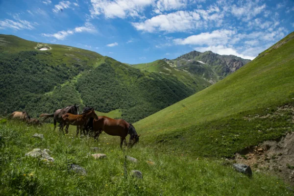Урсдонское ущелье: горы, водопад и альпийские луга