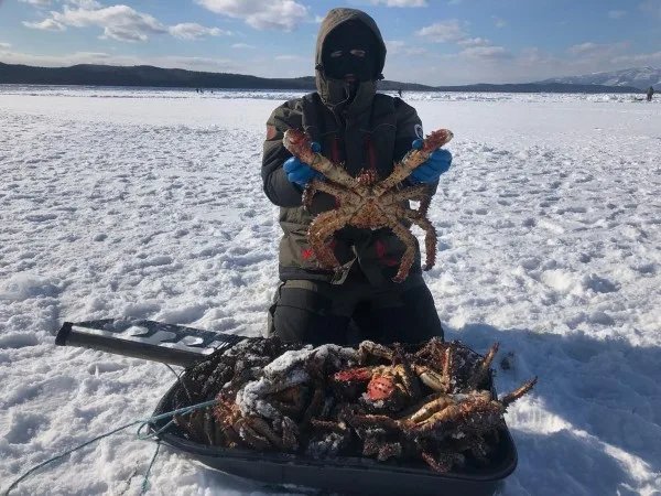 Сахалинская крабалка — клешни, море и приключения