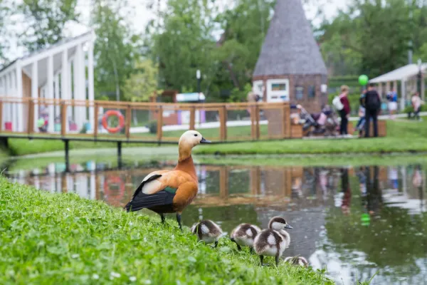 Посещение Городской Фермы ВДНХ с мастер-классом