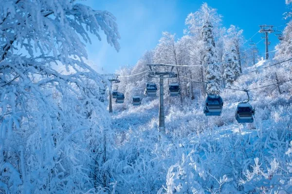 Красная Поляна — сердце гор (из Сочи)