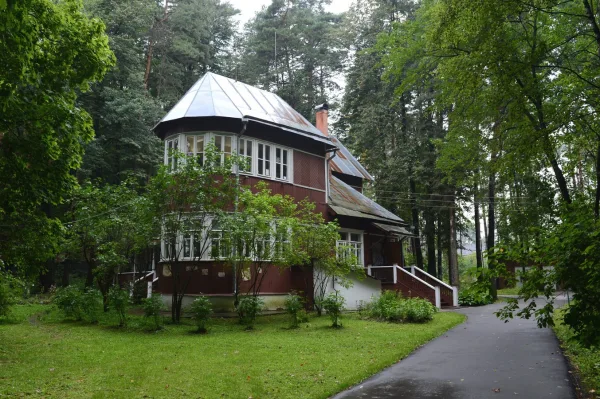 Переделкино между строк (в группе)