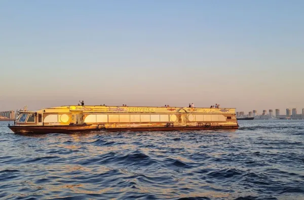 Большой ночной круиз: разводные мосты и северные острова Петербурга