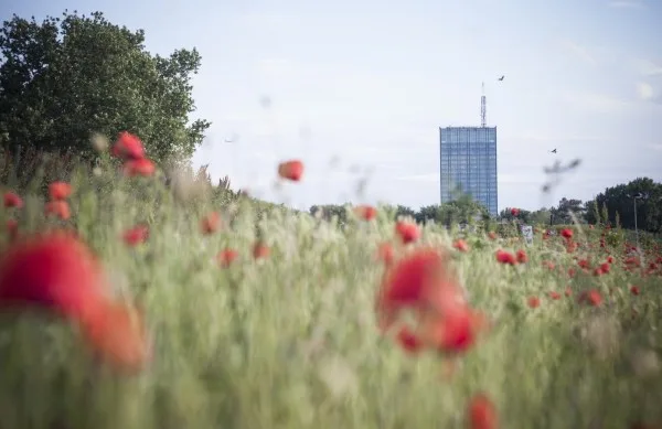 Белград — город на границе двух культур
