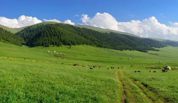 Плато Асы и водопад Аюлы: групповая экскурсия