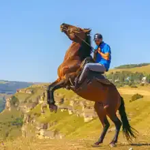Тимур