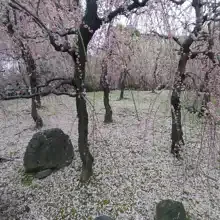 Олег