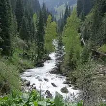 Мира