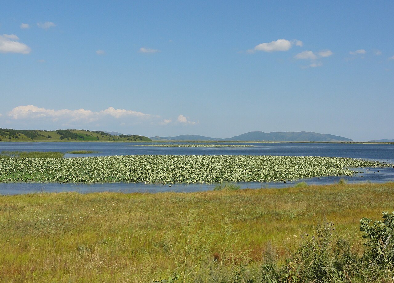 Озеро Лотос