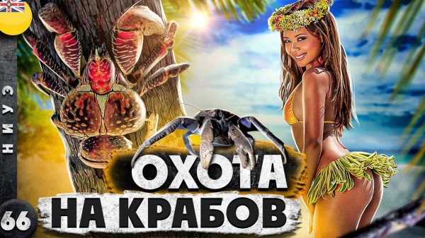 НИУЭ | ОСТРОВ, с которого ВСЕ хотят УЕХАТЬ | ОХОТА на пальмовых ВОРОВ