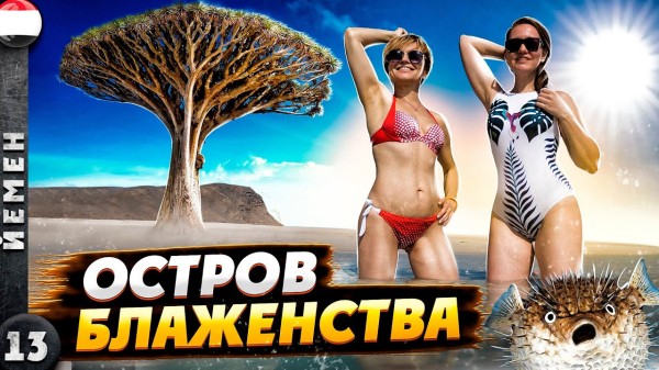 СОКОТРА | Безопасный ЙЕМЕН | Разоблачаем «ОРЕЛ и РЕШКА»