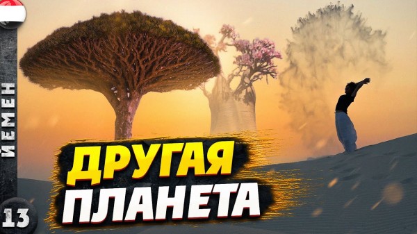 СОКОТРА | Инопланетный ОСТРОВ, где нет ТУРИСТОВ | Что такое КРОВЬ ДРАКОНА?