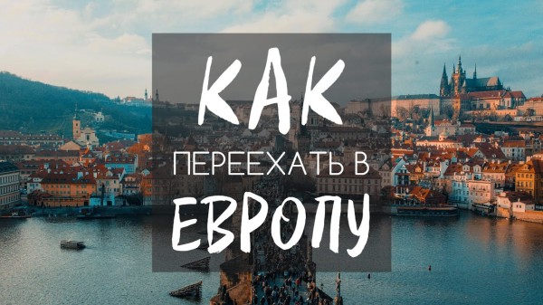 Россиянин в Голландии | О миграции, жизни и работе в 2023 году