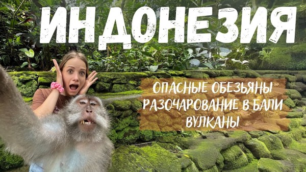 ИНДОНЕЗИЯ ЗАГАДКИ природы, обезьяны АБЬЮЗЕРЫ, ПРАВДА про БАЛИ от местных! ВСË ПОКА