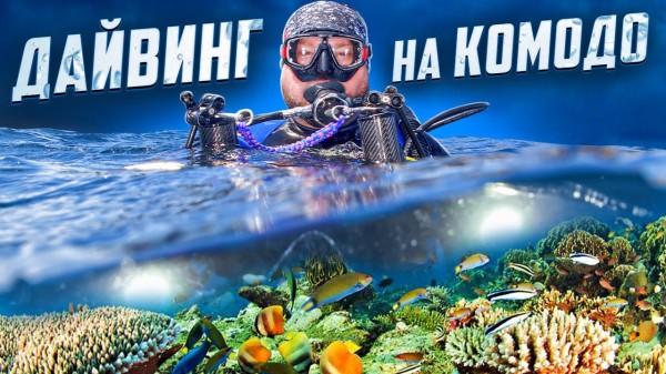 Дайвинг на Комодо!
