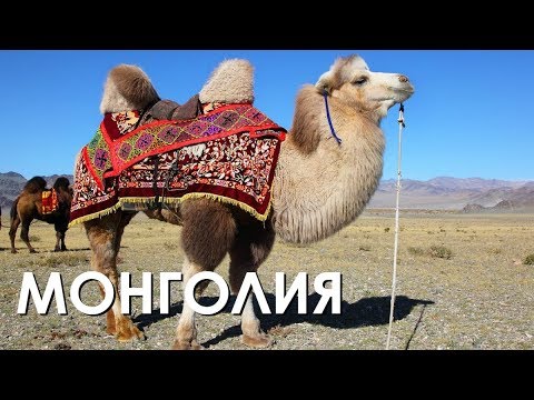 МОНГОЛИЯ - ВЕЛИКАЯ СТЕПЬ!
