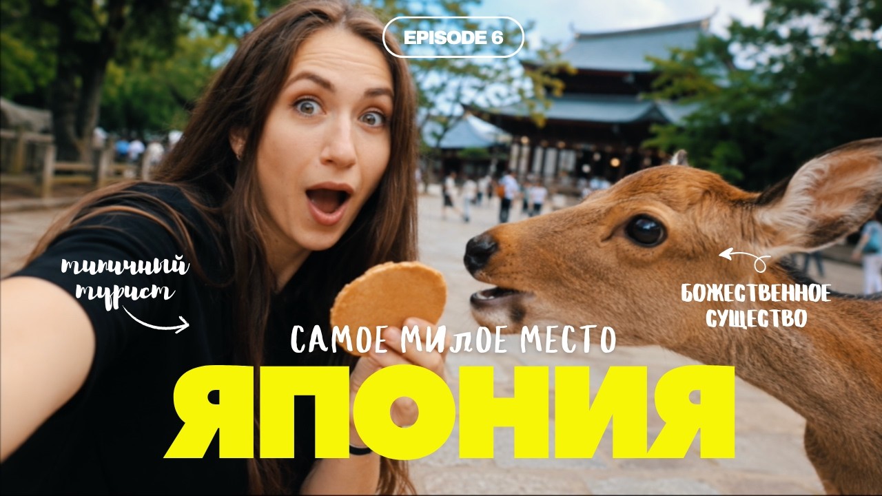 Нара - самое милое место Японии? Почему сюда едут миллионы туристов